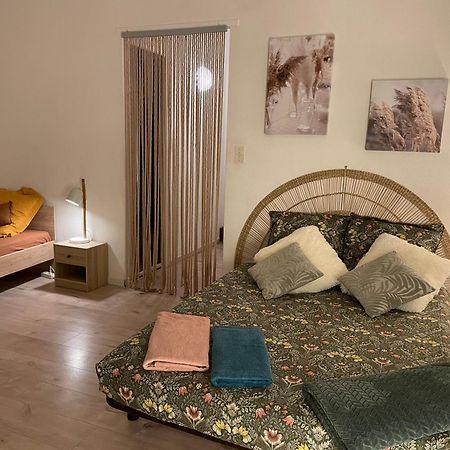 Apartament T2 Plein Centre Au 1Er Etage Avec Parking Prive Millau Zewnętrze zdjęcie